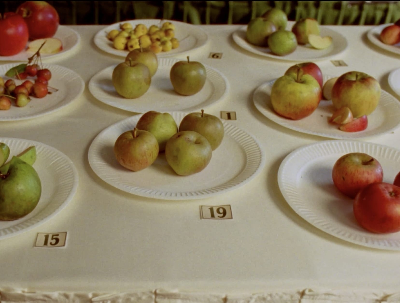 a still from the short film "Some Interesting Apples" showing plates filled with a variety of apples with numbers near them