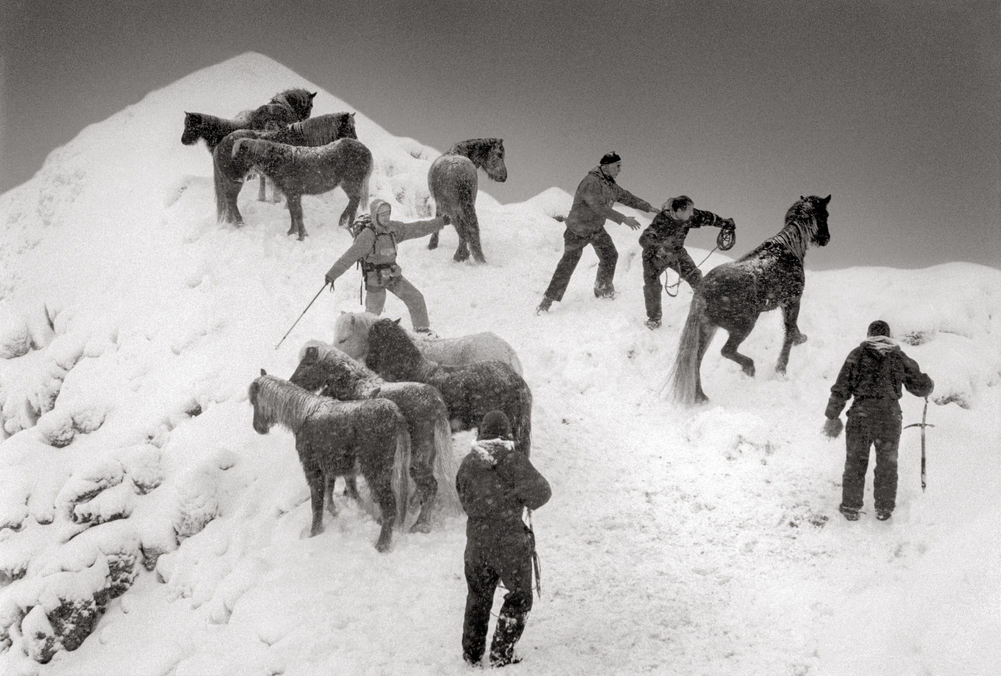 a black and white photo by Ragnar Axelsson of horses and men climbing a snowy incline