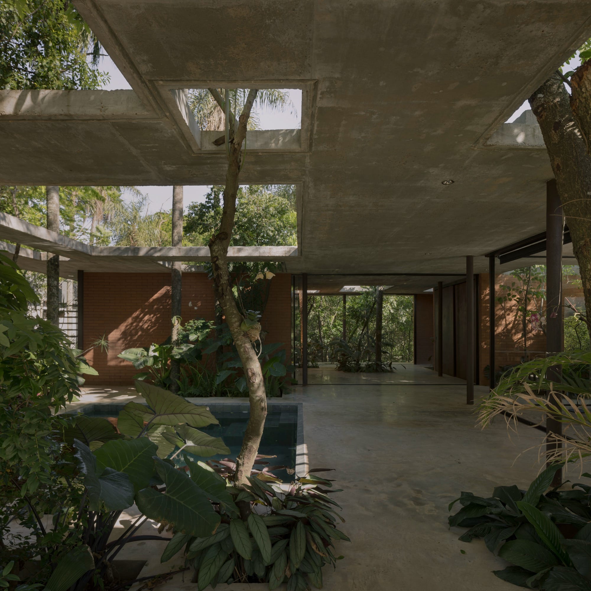 The interior of a contemporary concrete, glass, and steel home amid trees and tropical plants, some of which grow through apertures in the ceiling