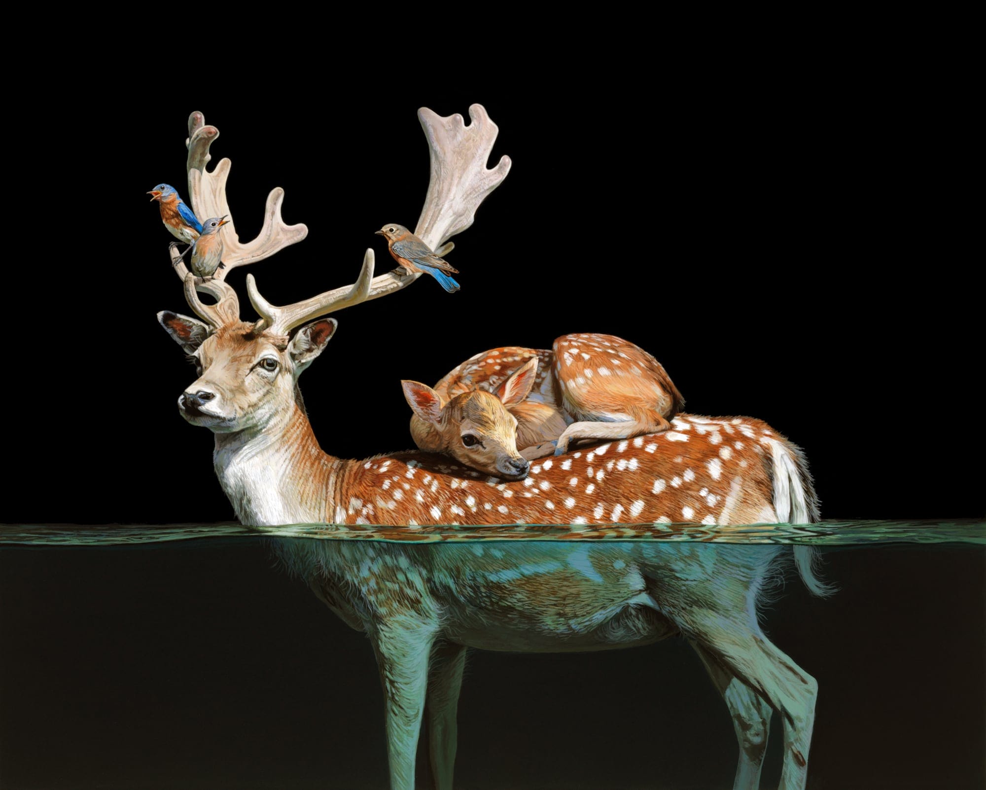a painting of a deer half underwater with a small fawn curled up on its back by Lisa Ericson