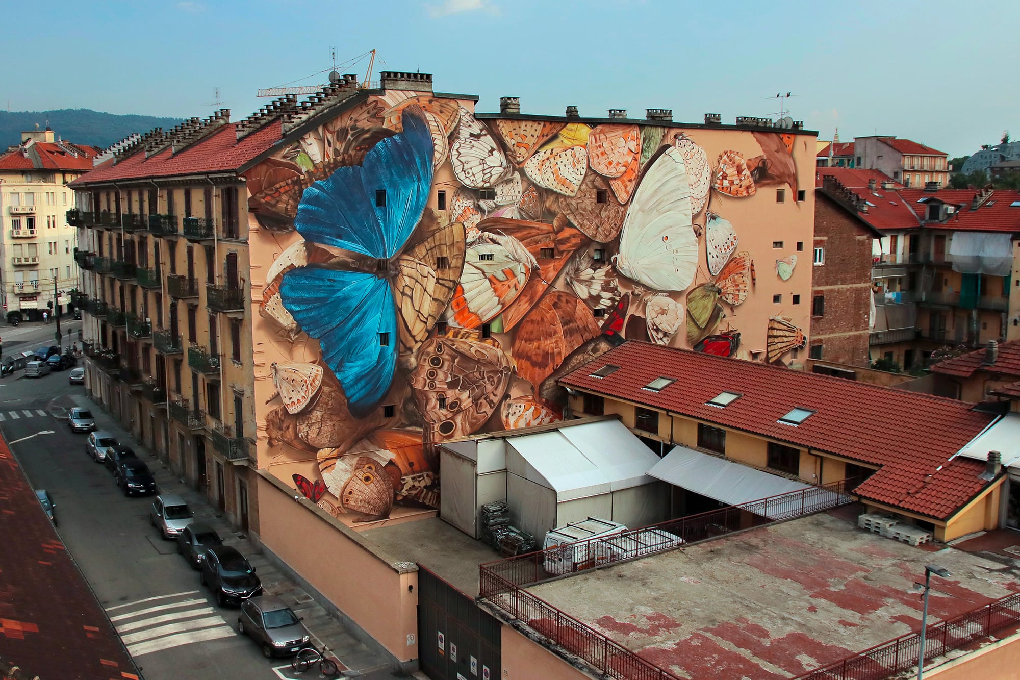 a mural of a collection of vibrant butterflies