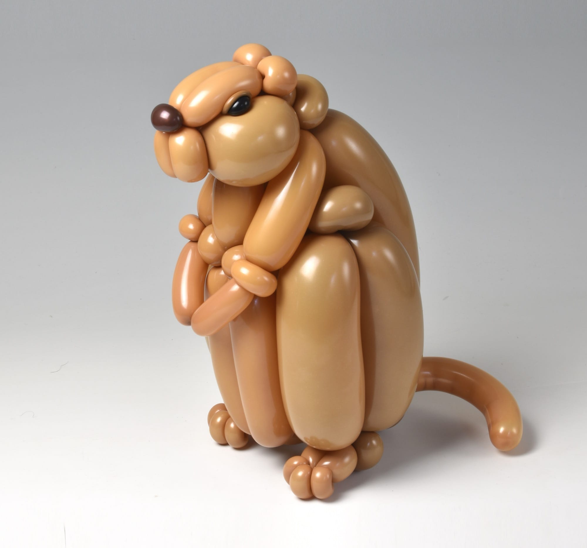 A gopher balloon animal
