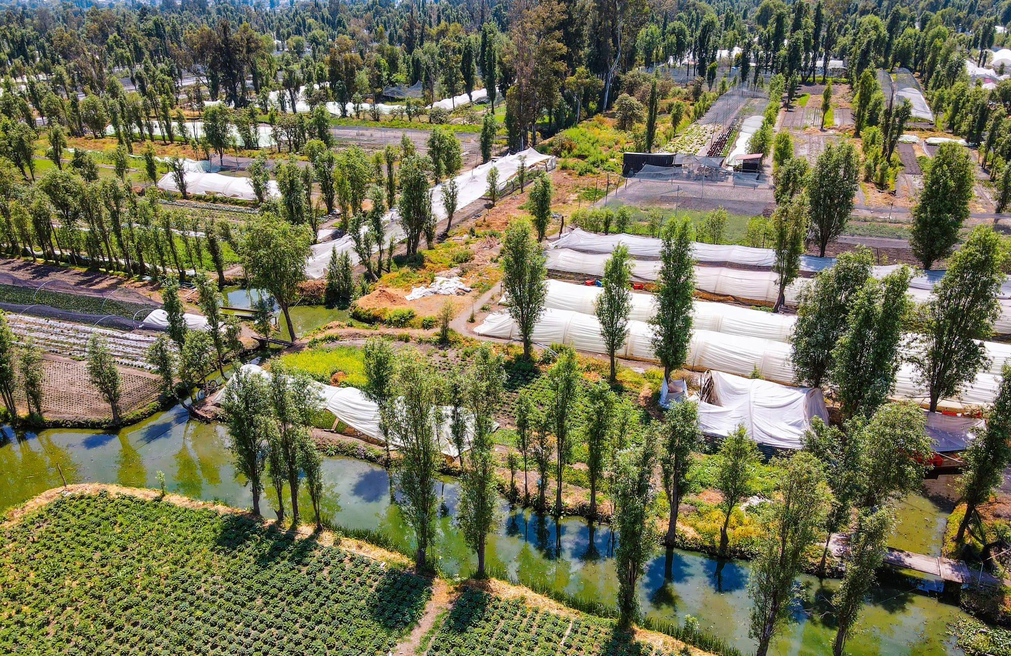 an aerial photo by Peter Yeung of lush gardens and waterways